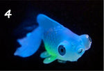 Silicone Artificial Luminous Hippocampus Fish Tank Ornament Aquarium Decoration Underwater Sea Horse Decoration Pet Supplies