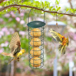 1pc Birds Grease Ball Holder Feeder Park Garden Pet Bird Supplies Iron Bird Feeder Outdoor Mesh Feeding Portable Wild Hanging