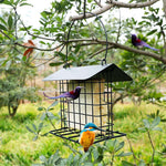 Outdoor Wild Bird Feeder, Black Small Hanging With Metal, Rainproof Squirrel-Proof, Single Suet Cake Style For Outside