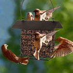 Outdoor Wild Bird Feeder, Black Small Hanging With Metal, Rainproof Squirrel-Proof, Single Suet Cake Style For Outside