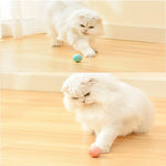 Cat Toys Automatic Rolling Ball Electric