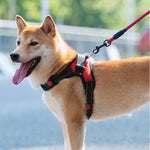 Dog Adjustable Harness Leash Reflective Breathable f