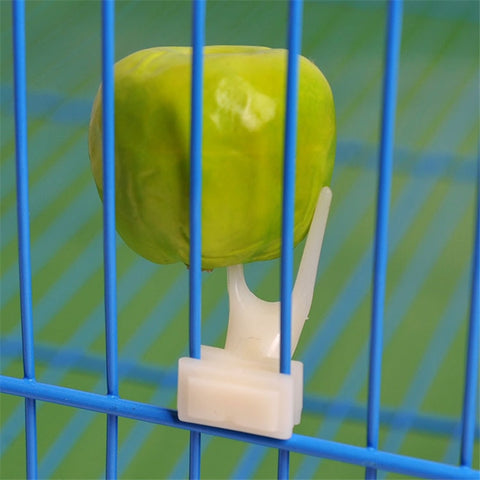 1Pcs Fruit Fork Bird Feeder Parrot Pet Bird Plastic Food Holder Feeding on Cage for Hamster Rat 2 Size S/L Convenient Feeder