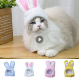 Cat Headgear Bunny Drag Hat