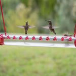 Hummingbird Feeder Garden Bird Feeder  Foldable