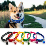 Dog Claw Color Buckle Pet Collar Nickel