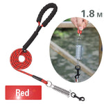 Dog Leash Small Large Dogs Leashes