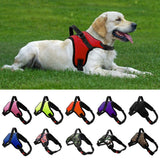 Dog Adjustable Harness Leash Reflective Breathable f