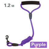 Dog Leash Small Large Dogs Leashes