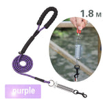 Dog Leash Small Large Dogs Leashes