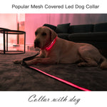 Dog Nylon Collar USB Flashing  LED Light Reflective