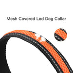 Dog Nylon Collar USB Flashing  LED Light Reflective