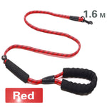 Dog Leash Small Large Dogs Leashes