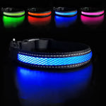 Dog Nylon Collar USB Flashing  LED Light Reflective