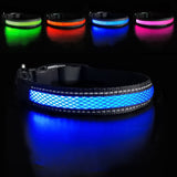 Dog Nylon Collar USB Flashing  LED Light Reflective