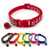 Dog Claw Color Buckle Pet Collar Nickel