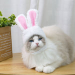 Cat Headgear Bunny Drag Hat