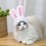 Cat Headgear Bunny Drag Hat