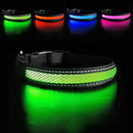 Dog Nylon Collar USB Flashing  LED Light Reflective