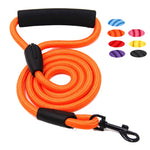 Dog Leash Small Large Dogs Leashes