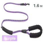 Dog Leash Small Large Dogs Leashes