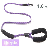 Dog Leash Small Large Dogs Leashes