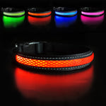 Dog Nylon Collar USB Flashing  LED Light Reflective