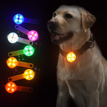 Waterproof LED  Collar Pendant Night Safety Luminous