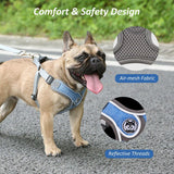 Dog Harness Leash Set Reflective Adjustable Vest Walking Small Medium Dogs