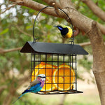 Outdoor Wild Bird Feeder, Black Small Hanging With Metal, Rainproof Squirrel-Proof, Single Suet Cake Style For Outside