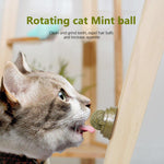 1PC Natural Catnip Cat Wall Stick-on Ball Toy