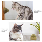 1PC Natural Catnip Cat Wall Stick-on Ball Toy