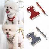 Small Dog Harness and Leash