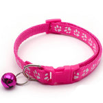 Dog Claw Color Buckle Pet Collar Nickel