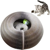 Cat Scratching Board