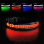 Dog Nylon Collar USB Flashing  LED Light Reflective