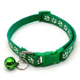 Dog Claw Color Buckle Pet Collar Nickel