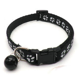 Dog Claw Color Buckle Pet Collar Nickel