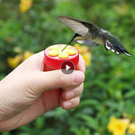 New Handheld Hummingbird Feeders Mini Hand Feeder