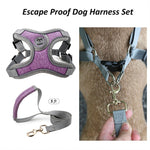 Dog Harness Leash Set Reflective Adjustable Vest Walking Small Medium Dogs