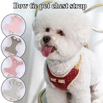 Small Dog Harness and Leash