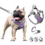 Dog Harness Leash Set Reflective Adjustable Vest Walking Small Medium Dogs