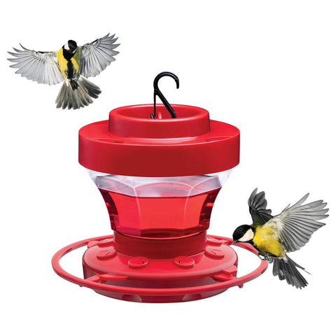 Humming Bird Feeder Humming Bird Feeders For Outdoor Hangings Outside Bee Proof Humming Bird Feeder Food Dispenser Hanger With 8