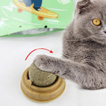 1PC Natural Catnip Cat Wall Stick-on Ball Toy