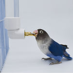 Parrot Drinker Water Bottle Dispenser Feeder Hanging