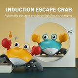 Crab Rechargeable Electric Pet Musical  Learn To Climb Toys