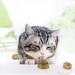 1PC Natural Catnip Cat Wall Stick-on Ball Toy