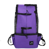 Outdoor Travel Puppy Medium Dog Backpack